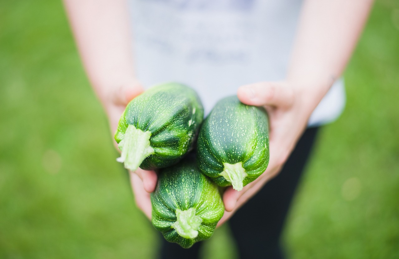 Fresh zucchini and cauliflower florets side-by-side on a clean background