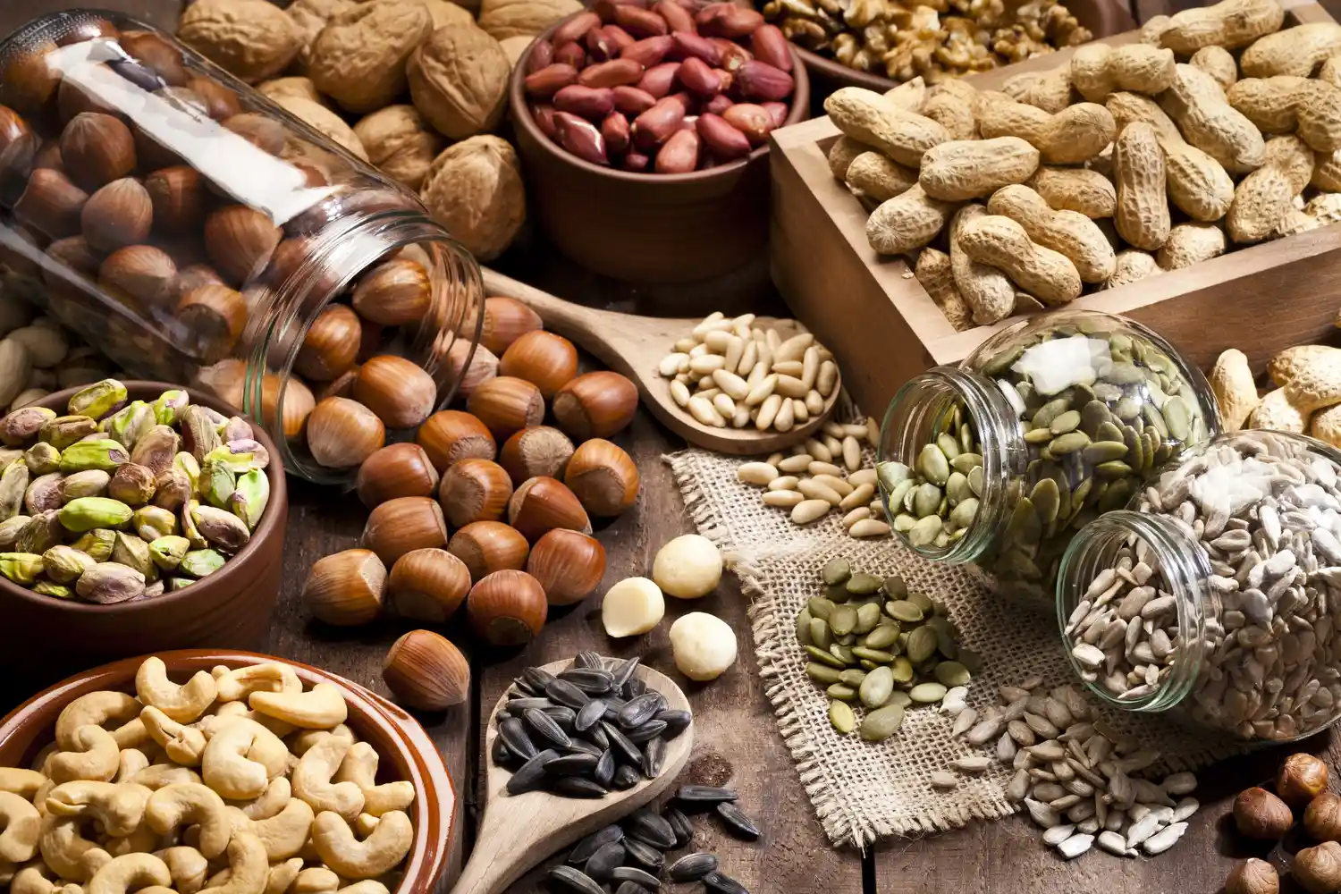 A variety of nuts and seeds including hazelnuts and sunflower seeds in rustic bowls.