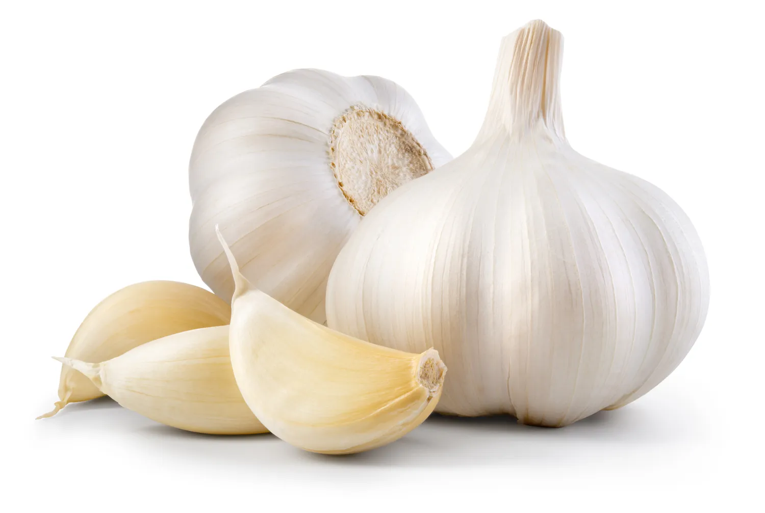 Whole garlic bulbs and separated cloves on a white background.