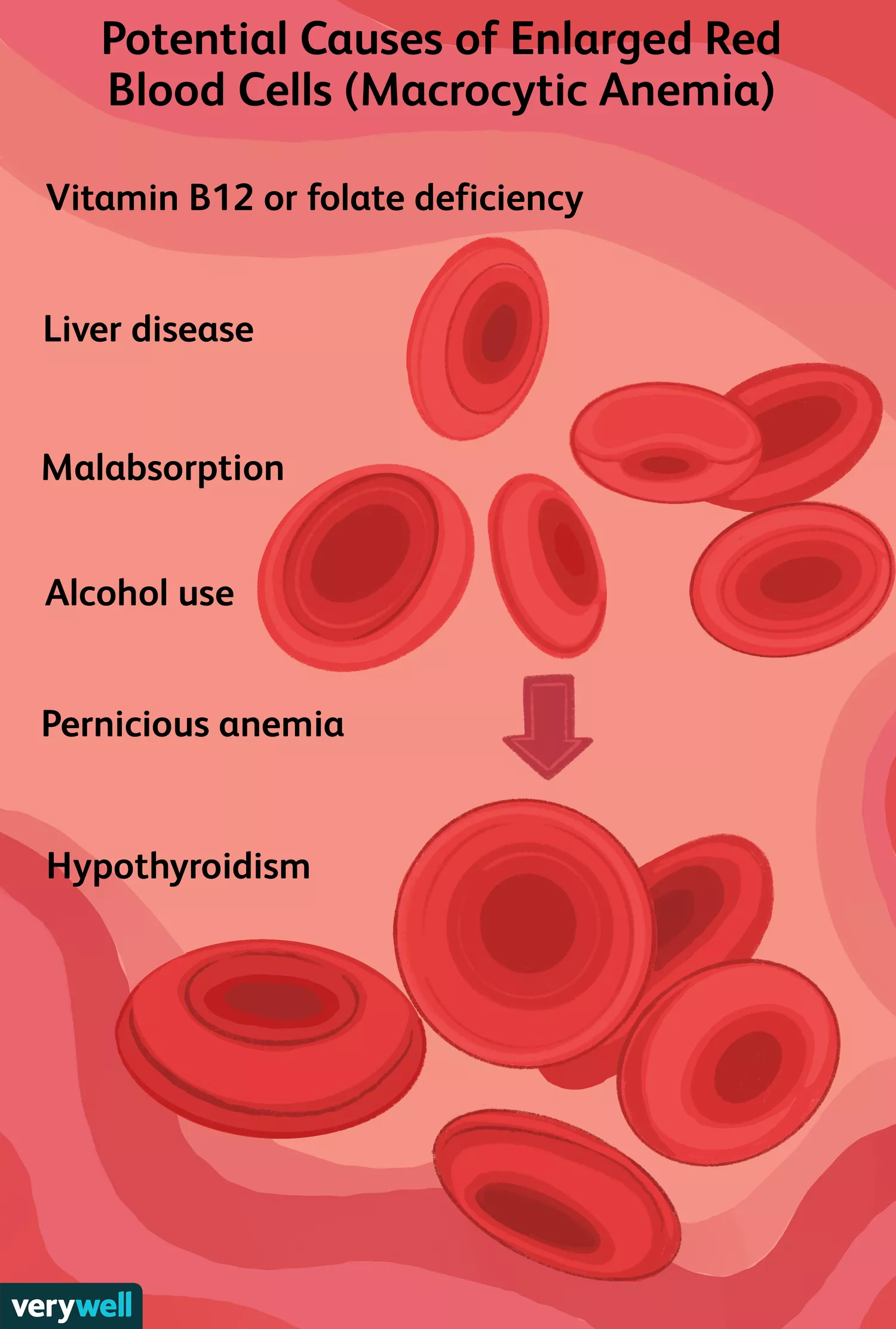 Medical diagram showing various types of blood cells and their health indicators.