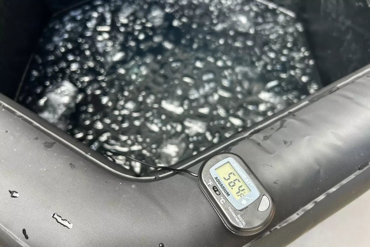 A digital thermometer reading 56.4 degrees Fahrenheit inside an ice-filled tub.