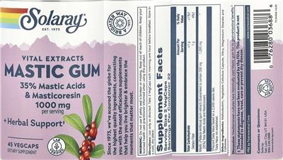 Solaray Mastic Gum 1000 mg product packaging