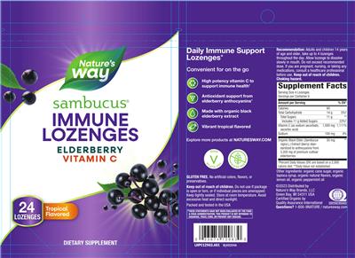 Nature's Way Sambucus Immune Lozenges Tropical Flavored product packaging