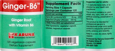 Karuna Ginger-B6 source label used in the packaging illustration