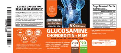Number One Nutrition Glucosamine Chondroitin + MSM source label used in the packaging illustration
