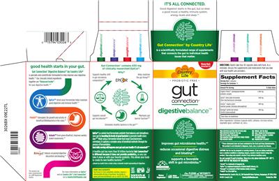 Country Life Gut Connection Digestive Balance source label used in the packaging illustration