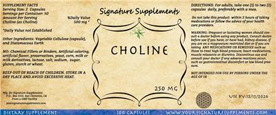 Signature Supplements Choline 250 mg source label used in the packaging illustration