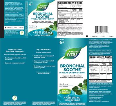 Nature's Way Bronchial Soothe product packaging