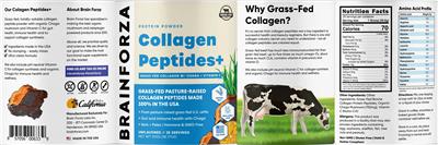 Brain Forza Collagen Peptides Unflavored source label used in the packaging illustration