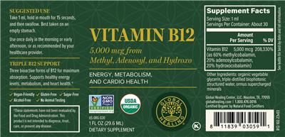 Global Healing Vitamin B12 5000 mcg source label used in the packaging illustration