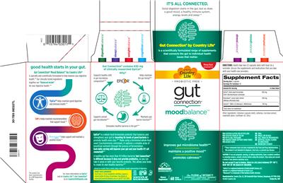 Country Life Gut Connection Mood Balance source label used in the packaging illustration