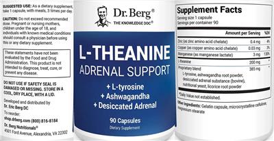 Dr. Berg L-Theanine source label used in the packaging illustration
