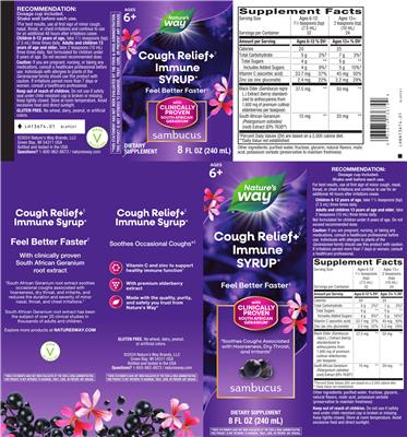 Nature's Way Sambucus Cough Relief+ Immune Syrup product packaging