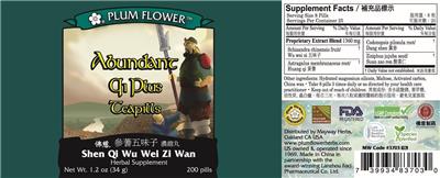 Plum Flower Abundant Qi Plus Teapills source label used in the packaging illustration