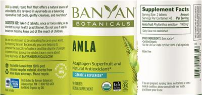 Banyan Botanicals Amla source label used in the packaging illustration