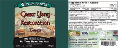Plum Flower Great Yang Restoration Teapills source label used in the packaging illustration
